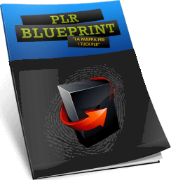 PLR Blueprint